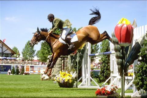 Spruce Meadows
