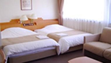 Shin-Osaka Station Hotel - Annex a Osaka, JP