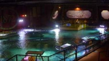 Sea Life Centre, Brighton in Brighton, GB1