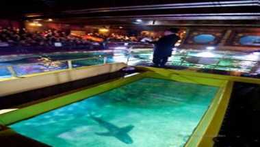 Sea Life Centre, Brighton in Brighton, GB1