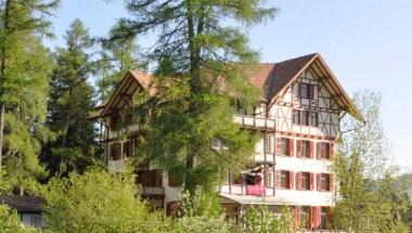 Waldhotel Pradaschier image