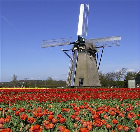 Keukenhof