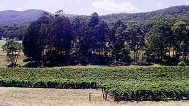 Kancoona Valley Wines в High Country, AU