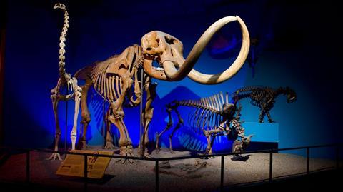 Milwaukee Public Museum