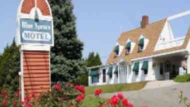 Blue Spruce Motel & Townhouses en Plymouth, MA