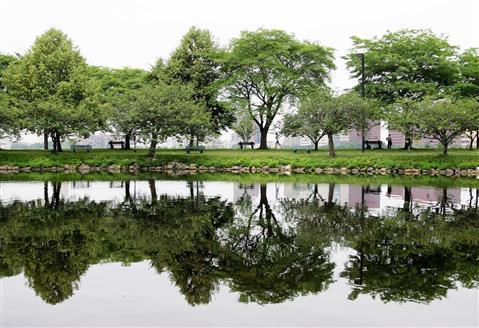 Charles River Esplanade