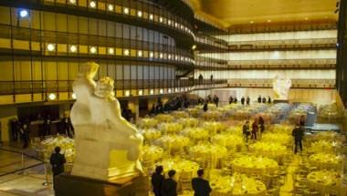 The Joyce Theater image