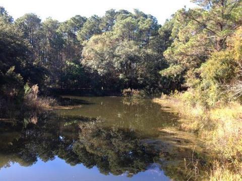Audubon-Newhall Preserve