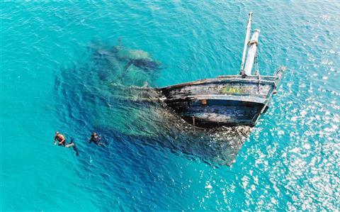 沉船野生動物園