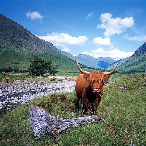 Loch Lomond & The Trossachs National Park