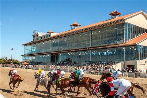 Hipódromo de recinto