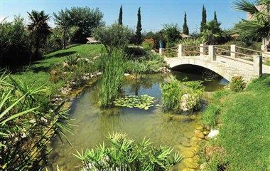 Изображение места проведения