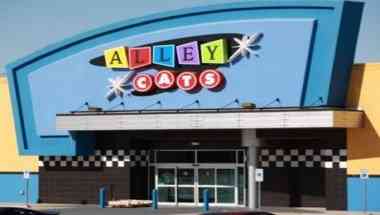 Alley Cats в Arlington, TX