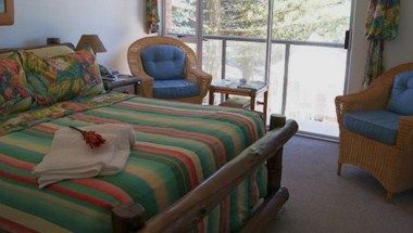 Изображение места проведения