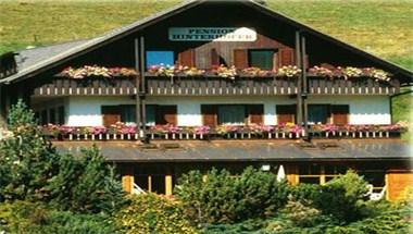 Pension Hinterhofer image