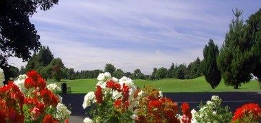 Изображение места проведения