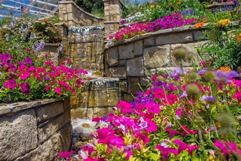 Jardin Botánico Amarillo