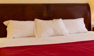 Hotel do Caramulo a Caramulo, PT