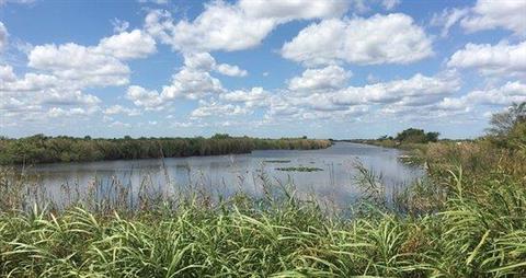 洛克萨哈奇大沼泽地之旅和汽艇之旅