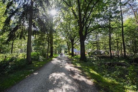 National Park Utrechtse Heuvelrug