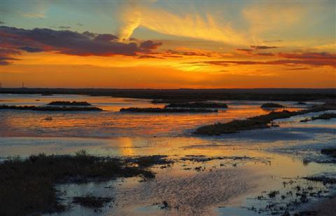 MARISMAS DEL ODIEL (Marshes of Odiel)