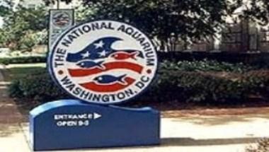 The National Aquarium in Washington, D.C. image