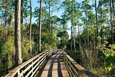 Corkscrew Swamp Sanctuary
