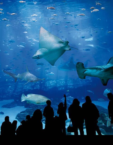 比亚里茨水族馆