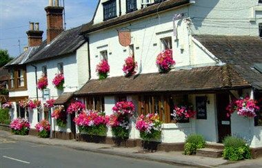 Изображение места проведения