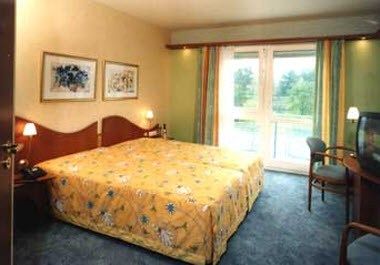 Изображение места проведения