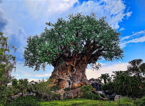 Disney's Animal Kingdom®