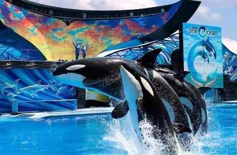 Sea World®