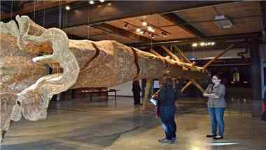 MadArt à Seattle, WA