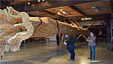 MadArt a Seattle, WA