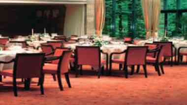 瓦塞纳尔, NL 的 Kasteel de Wittenburg