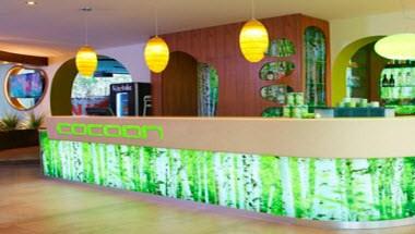 Cocoon Stachus image