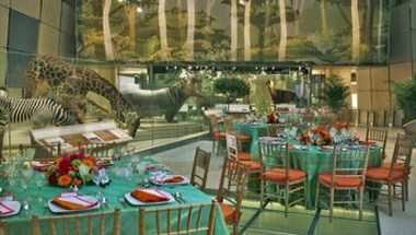 Smithsonian National Museum of Natural History a Washington, DC