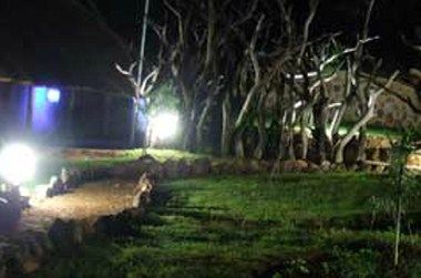 Afbeelding van locatie