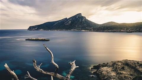 参观 Sa Dragonera 自然公园