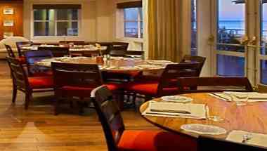 Oystercatchers в Tampa, FL