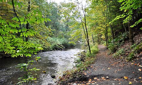 Parque estatal Saratoga Spa