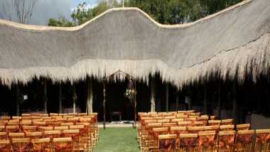 Sneezewoods a Addo, ZA