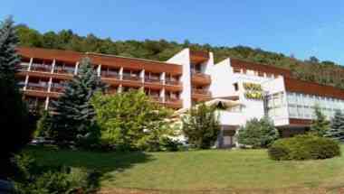 Hotel Flora, Inc. a Trencianske Teplice, SK