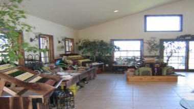 Buttonwoodgrove Winery a Romulus, NY