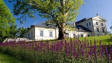 Chateau Mcely a Mcely, CZ