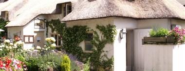 Farmers Arms в Taunton, GB1