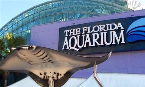 Florida Aquarium