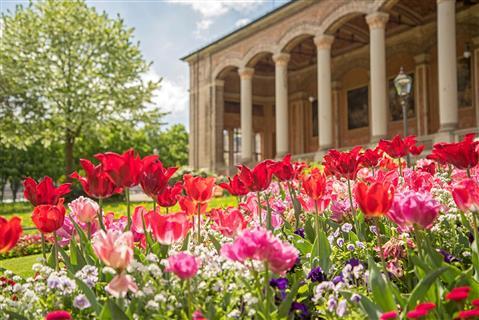 巴登巴登Trinkhalle