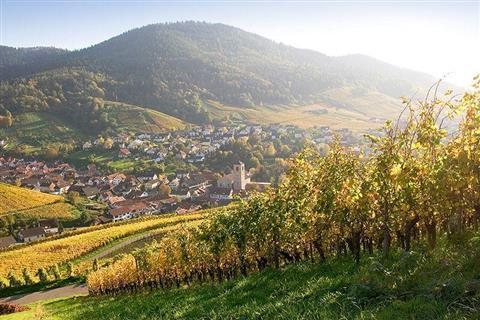 葡萄酒产区雷布兰德