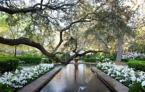 Bellingrath Gardens